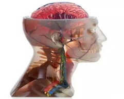 全彩3D打印 J750 全彩3D打印 J750